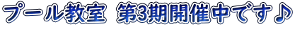 プール教室 第3期開催中です♪